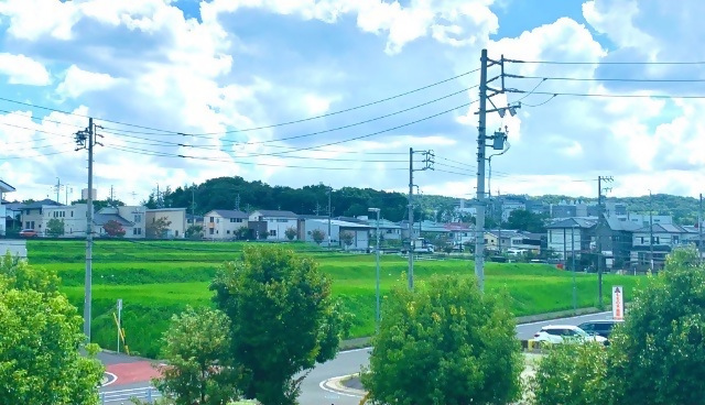 写真:事業対象区域