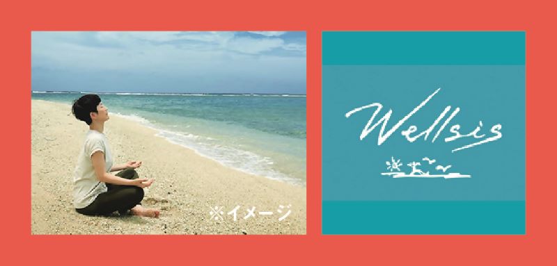 ウェルネス便の写真