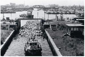 写真：木材いかだ