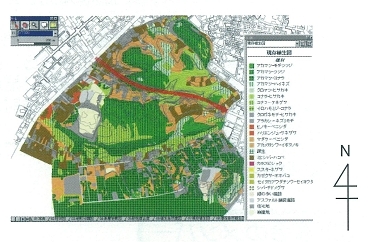 イラスト:自然環境調査結果