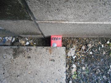 写真:プラスチック杭