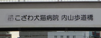 写真:こざわ犬猫病院 内山歩道橋