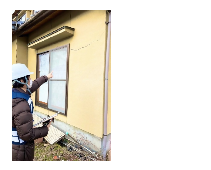 写真：調査の様子