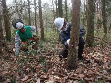 写真：フィールドワークの様子