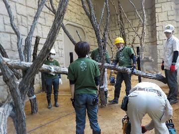 写真：工作物設置作業の様子