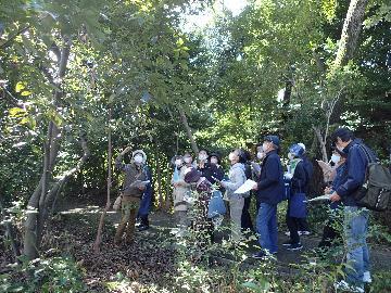 写真：樹林観察会の様子