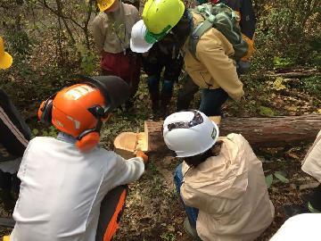 写真：フィールドワークの様子