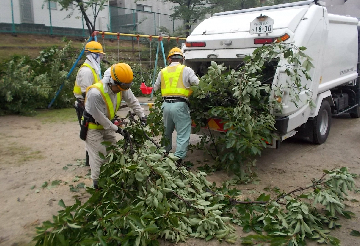 写真：公園にてせん定した枝を収集する様子