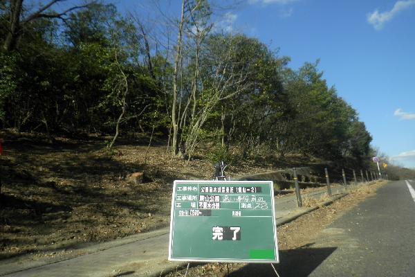 写真:樹木剪定後の様子