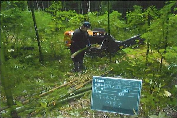 写真:林内整備の様子2