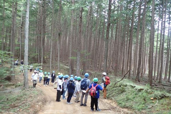 写真:森林散策の様子