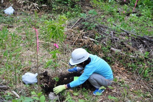 写真:植樹体験の様子
