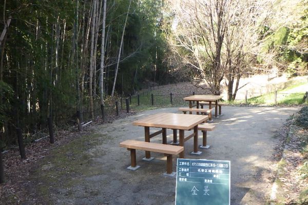 写真:林内整備後の様子