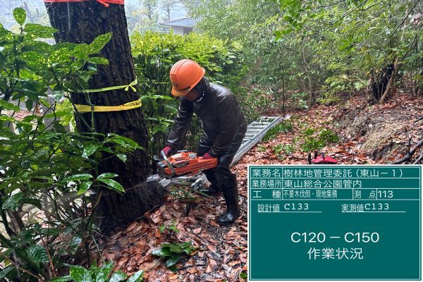 写真:林内整備の様子