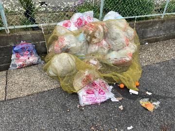 写真:生ごみを隠す