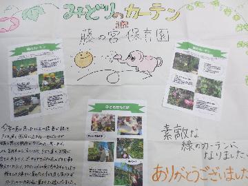 写真:藤の宮保育園の緑のカーテン記録