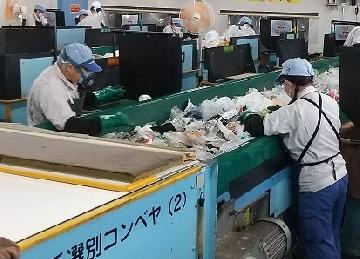 写真:選別の様子