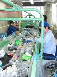 写真:選別の様子