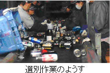 写真:選別作業のようす