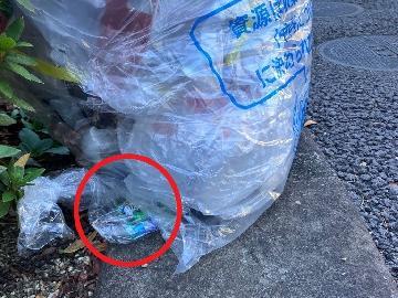 写真：プラスチック資源の下に隠れた電池類の袋