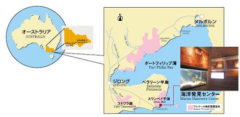 イラスト:ジロング市の位置