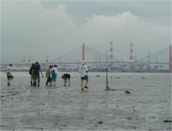 写真：干潟と人々
