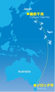 地図：藤前干潟とジロング