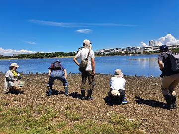 写真：谷津干潟での視察