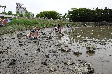 写真:干潟で生き物を観察している様子