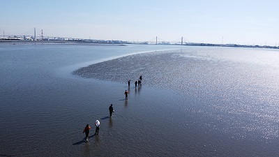 写真：藤前干潟