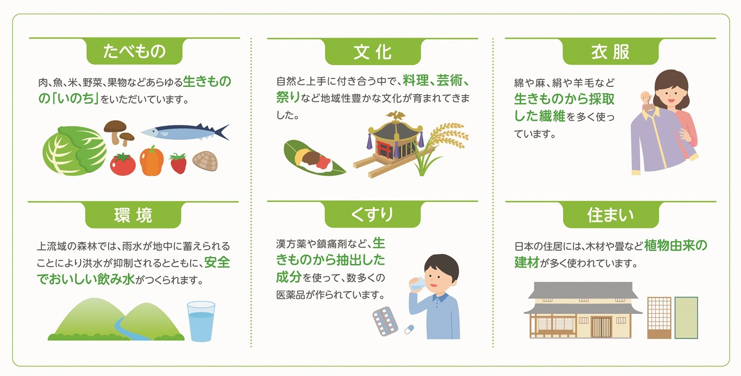 写真：生きものが私たちの生活にもたらす恵