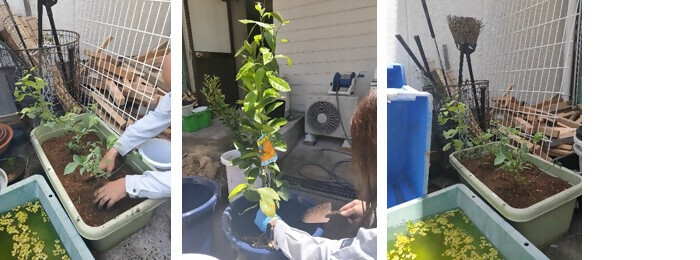 写真：植樹の様子（八神建築株式会社）