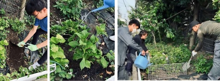 写真：植樹の様子（株式会社小池建設）