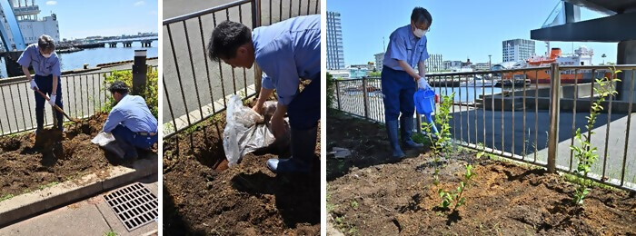 写真：植樹の様子（名古屋港水族館）