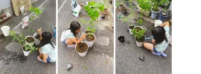 写真：植樹の様子（名古屋貸物設備株式会社）