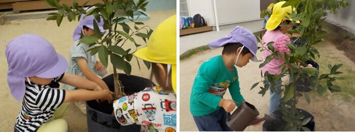 写真：植樹の様子（左京山保育園）