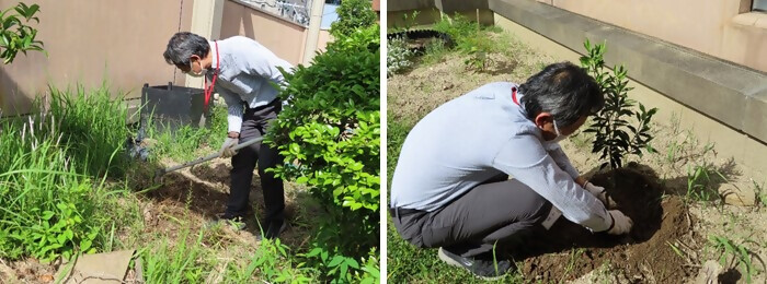 写真：植樹の様子（西文化小劇場）