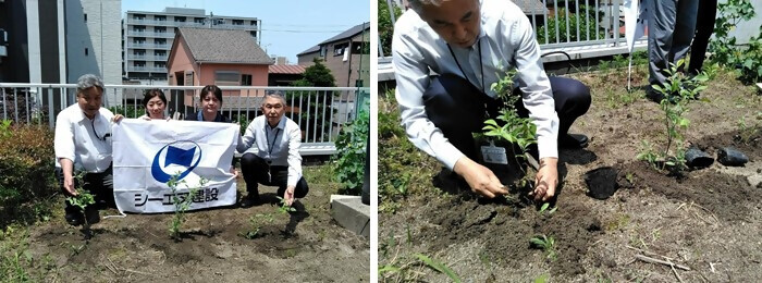 写真:植樹の様子(シーエヌ建設株式会社)