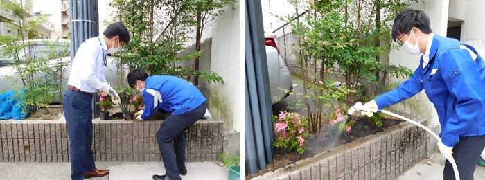 写真:植樹の様子(株式会社アクアス)