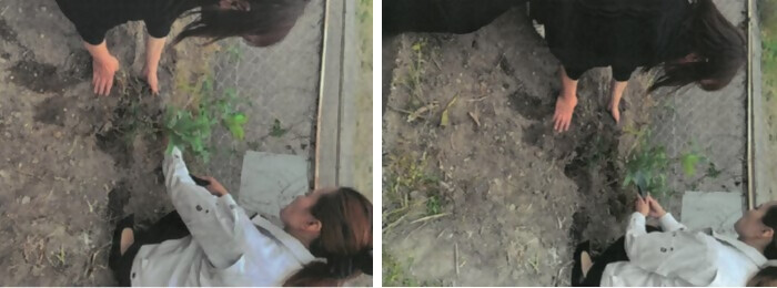 写真:植樹の様子(有限会社フジミ産業)