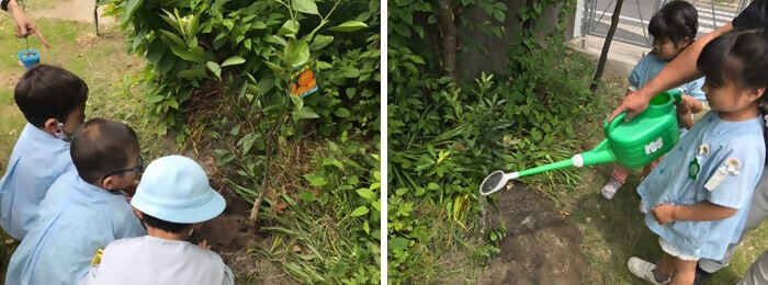 写真:植樹の様子(岩塚第一幼稚園)