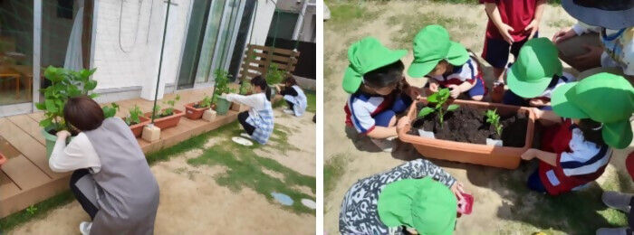 写真：植樹の様子（トレジャーキッズてんぱく保育園）