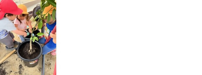 写真：植樹の様子（ファミリーズおおもり園）