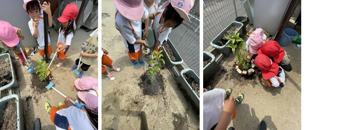 写真：植樹の様子（社会福祉法人 十王会 えにし保育園）