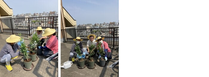 写真：植樹の様子（株式会社イープ）