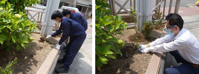 写真：植樹の様子（日本空調システム株式会社）
