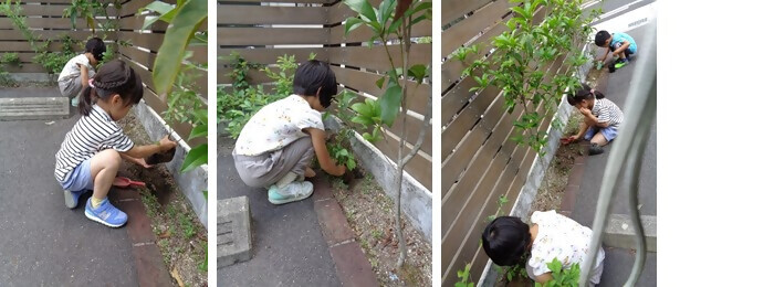 写真：植樹の様子（あかつき田幡保育園）