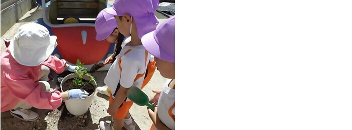 写真：植樹の様子（明円ひかり園）