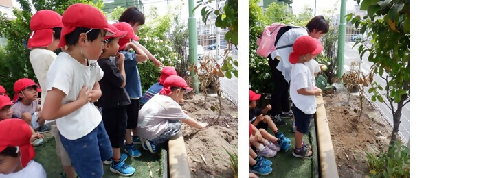 写真：植樹の様子（名古屋植田ヶ丘こども園）