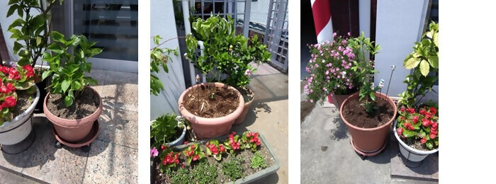 写真：植樹の様子（ヒューマンライフ株式会社）